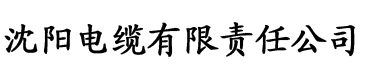 亚洲精品码一区二区三区电缆厂logo